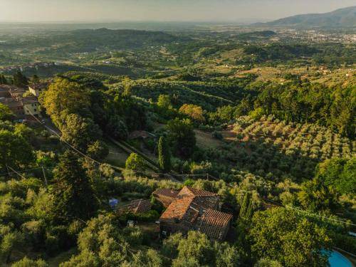 Photo of Others in Petrognano