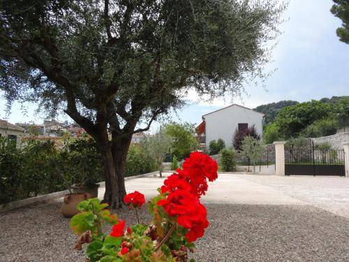 Photo of Others in La Colle-sur-Loup