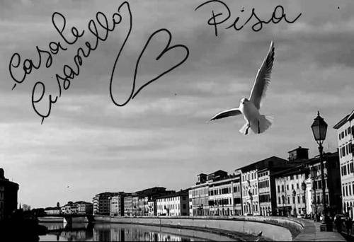 Photo of Others in Pisa