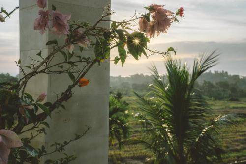 Photo of Others in Medewi