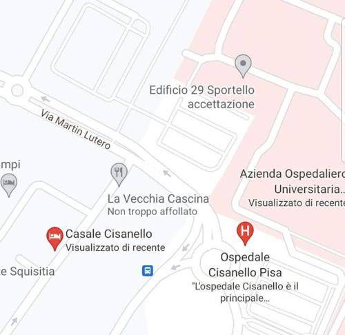 Photo of Others in Pisa