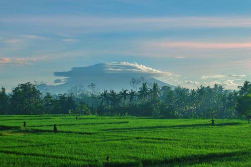 Photo of Others in Mas