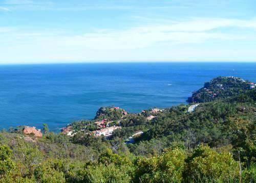 Photo of Others in Theoule-sur-Mer