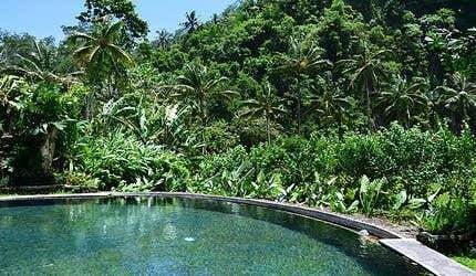 Photo of Others in Ubud