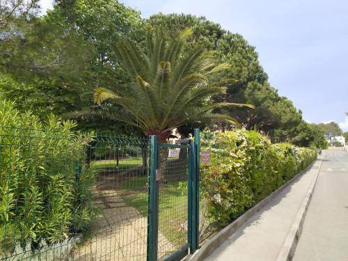 Photo of Others in Boulouris-sur-Mer