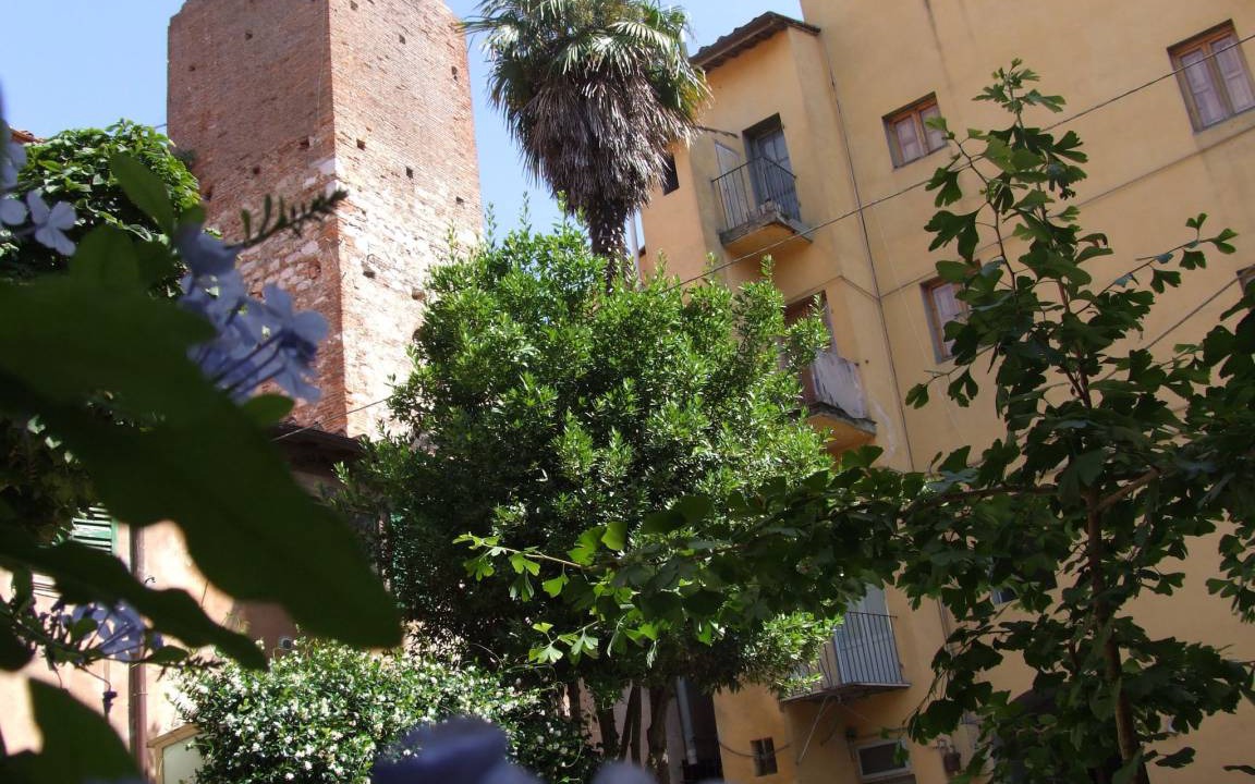 Photo of Buildings in Pisa City Centre