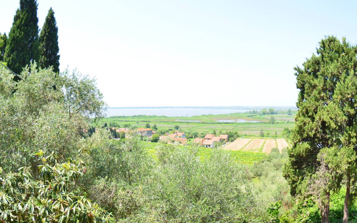 Photo of Outdoor in Massarosa