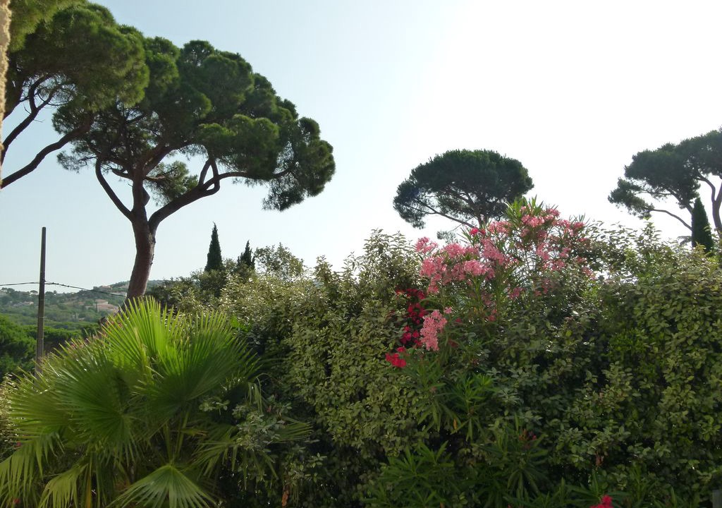 Photo of Outdoor in Plage de la Garonnette