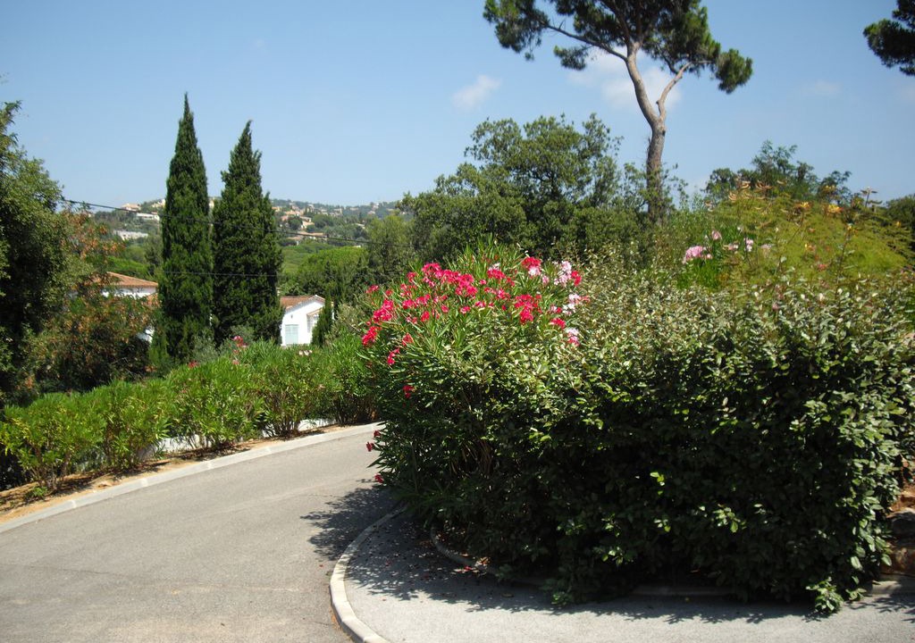 Photo of Outdoor in Plage de la Garonnette