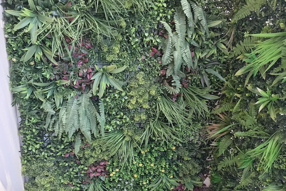 Photo of Outdoor in La Bocca