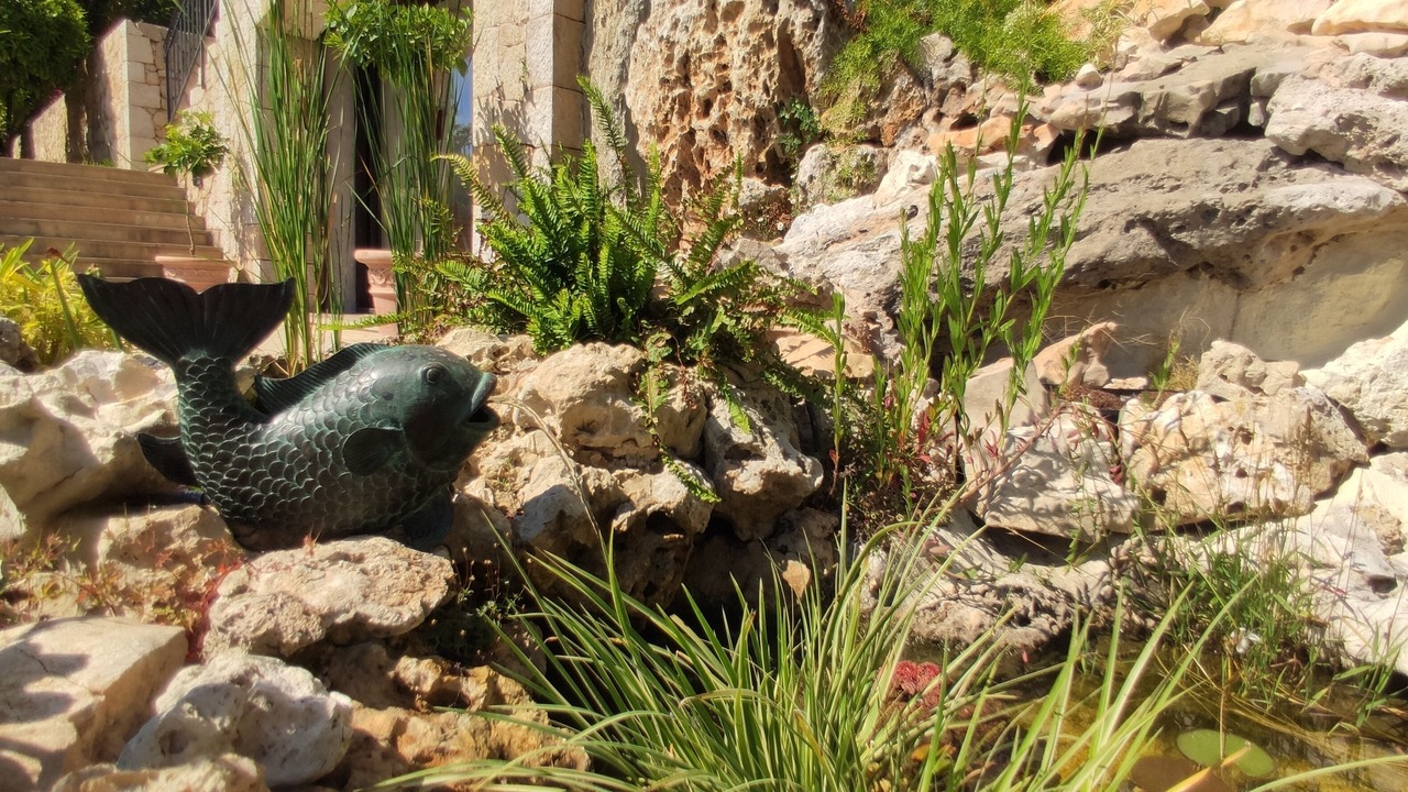 Photo of Outdoor in Le Bar-sur-Loup