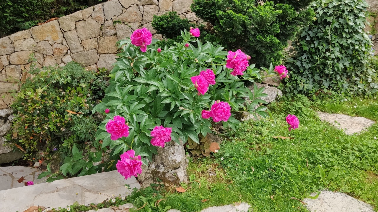 Photo of Outdoor in Le Bar-sur-Loup