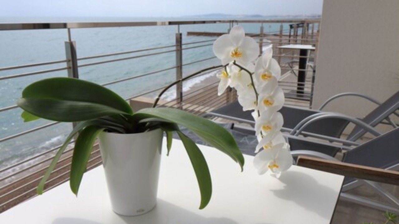 Photo of Bedroom in Villeneuve Loubet Beach