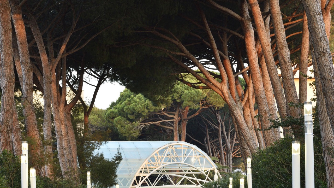 Photo of Outdoor in Marina di Bibbona