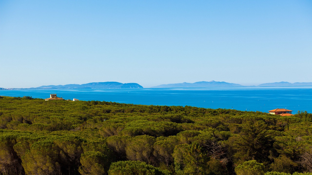 Photo of Outdoor in Marina di Bibbona