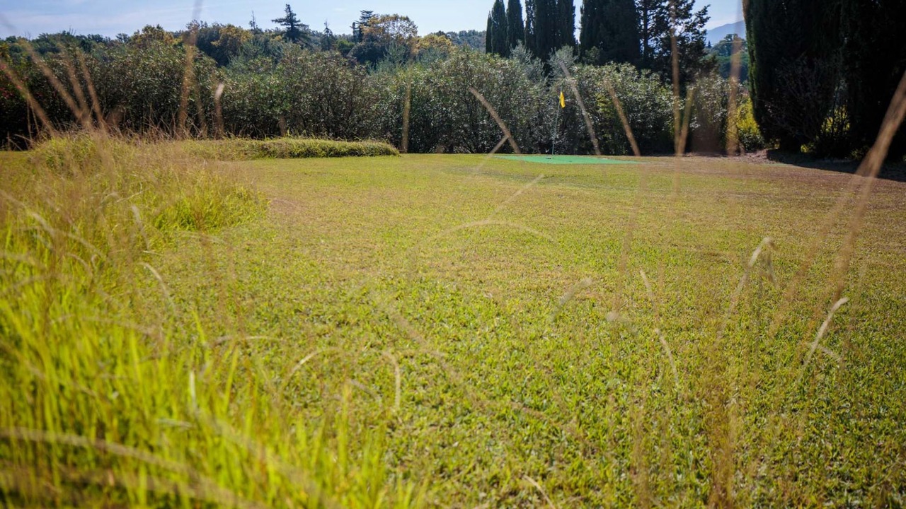 Photo of Others in Lucca