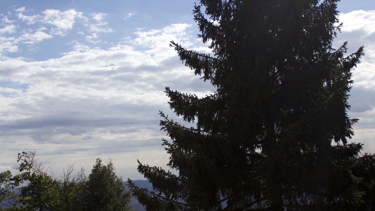 Photo of Outdoor in Calci
