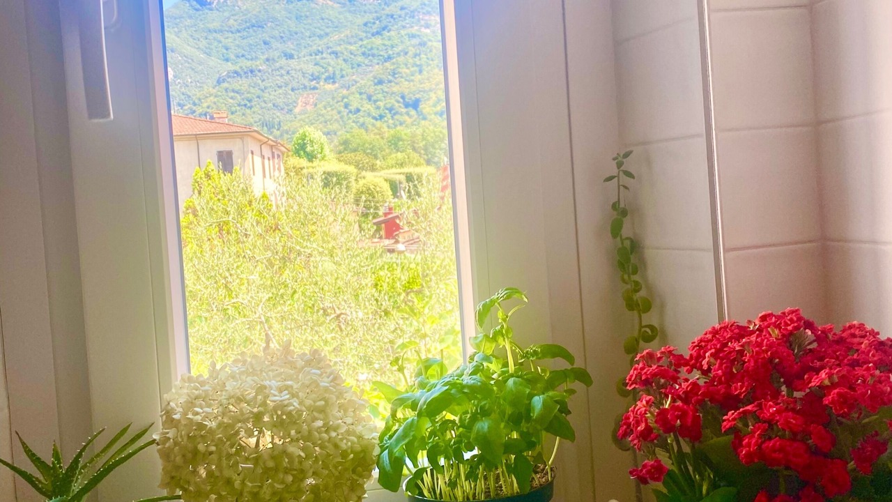 Photo of Others in Camaiore