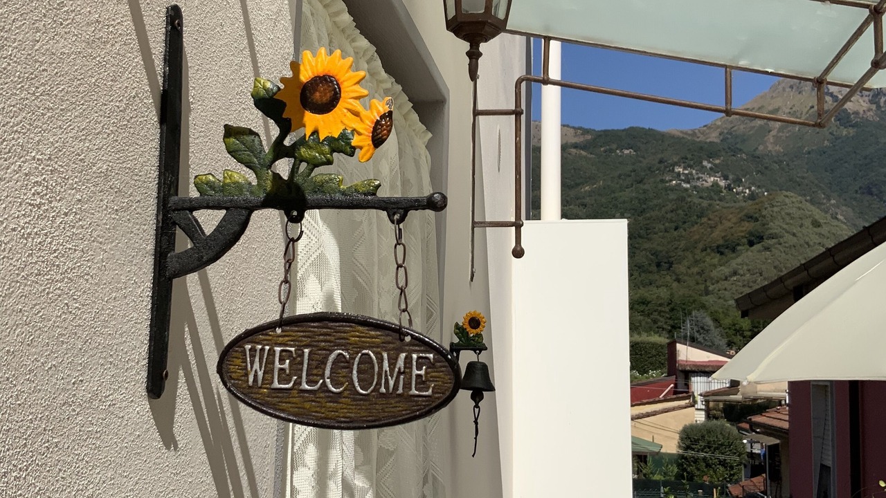 Photo of Others in Camaiore