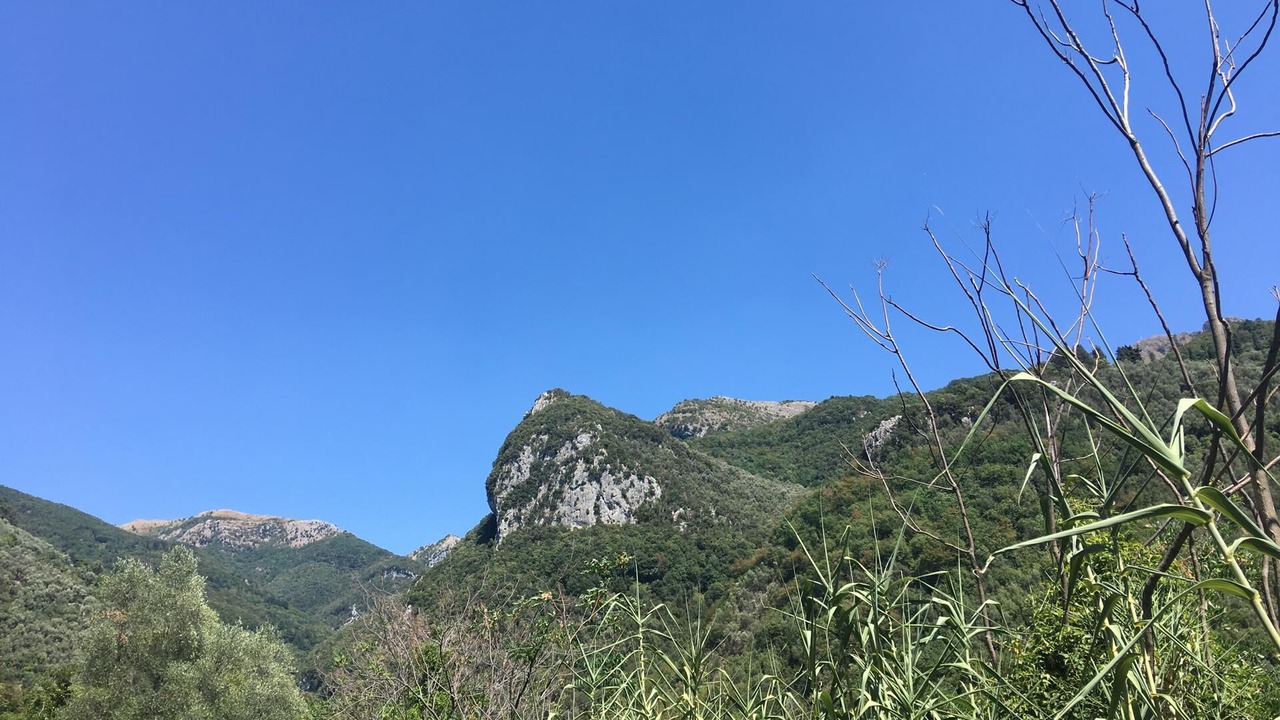 Photo of Others in Camaiore