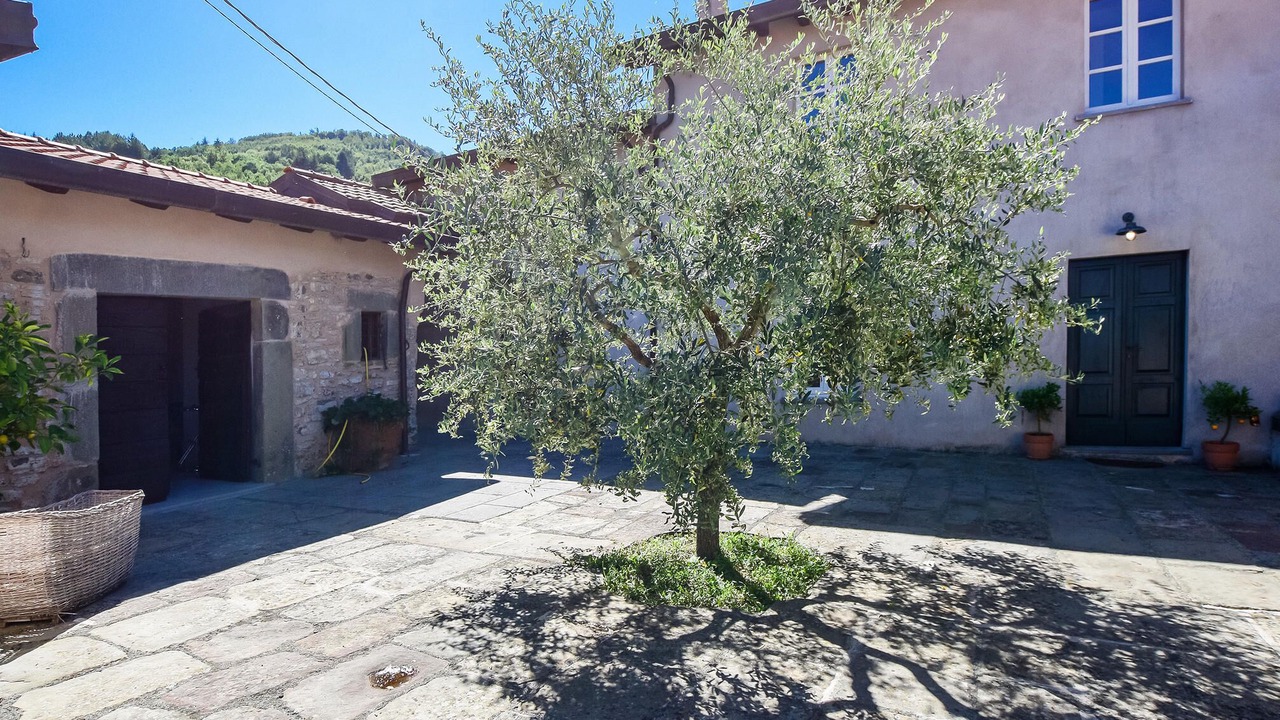 Photo of Outdoor in Fivizzano