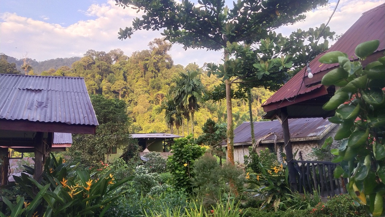 Photo of Outdoor in Batang Serangan