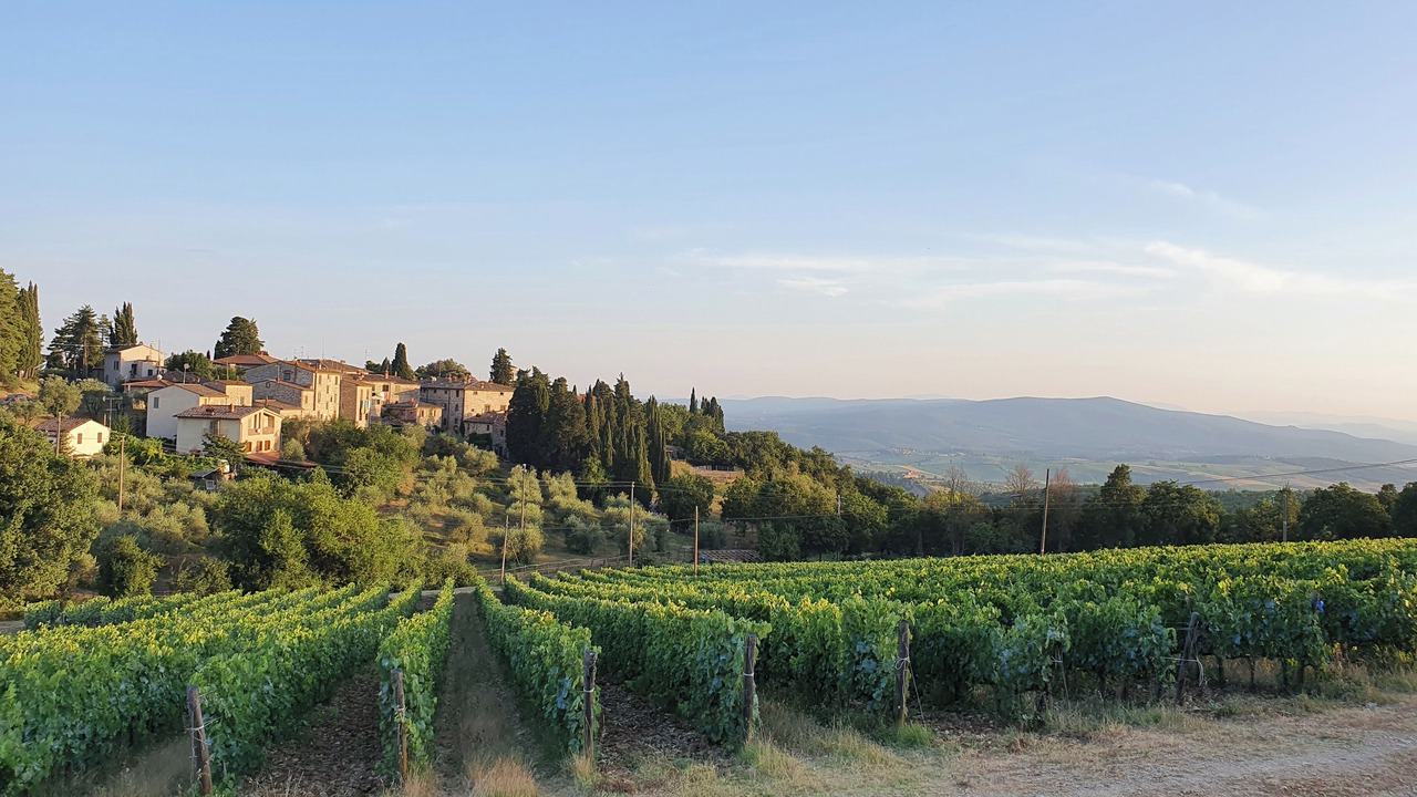 Photo of Outdoor in Fonterutoli