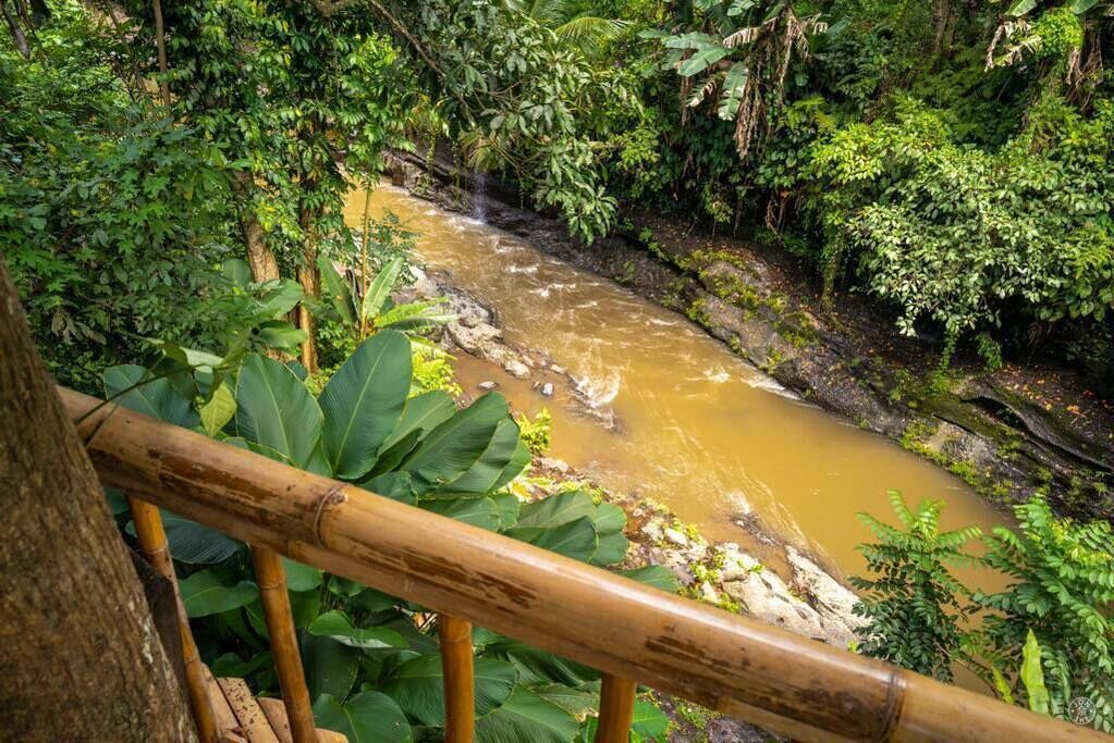 Photo of Outdoor in Nyuh Kuning