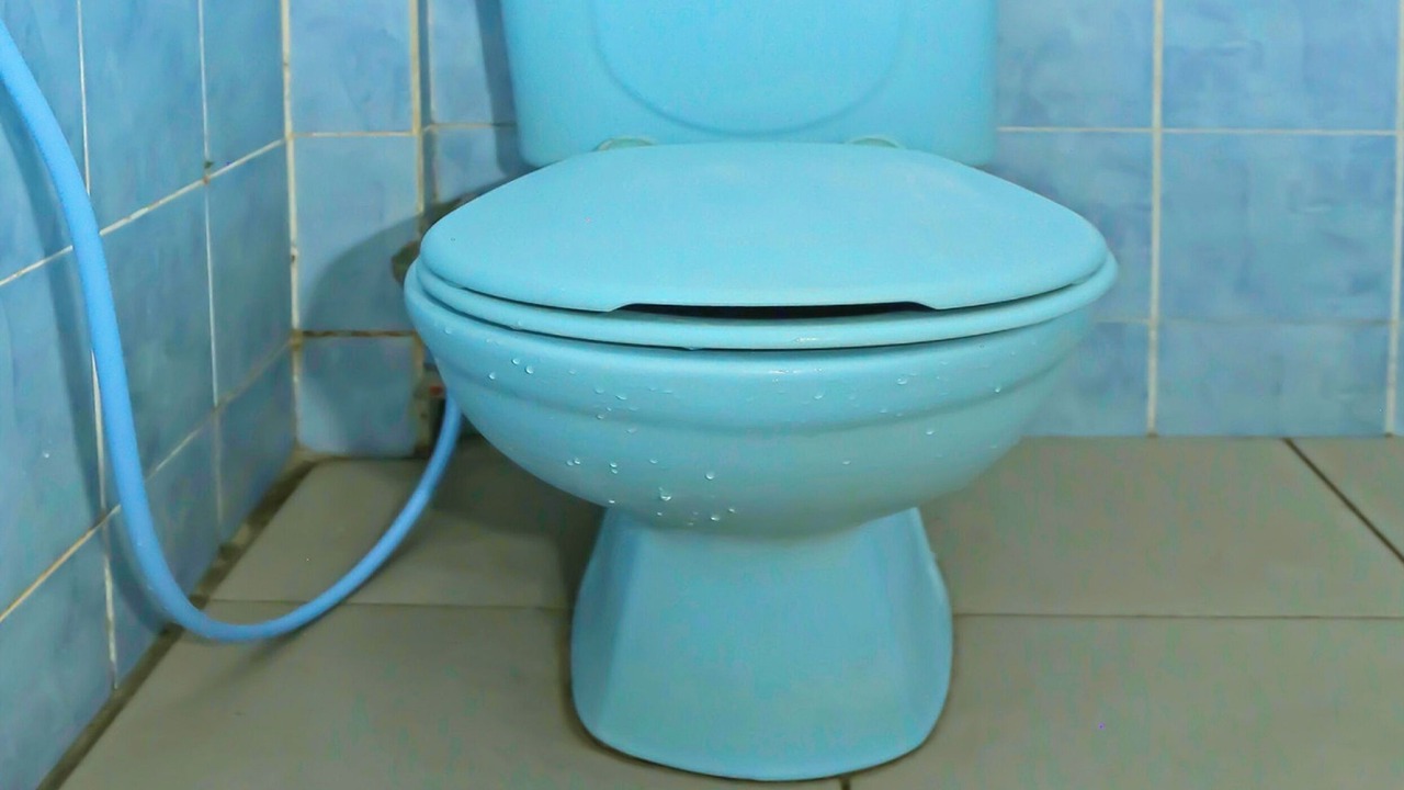 Photo of Bathroom in South Tambun