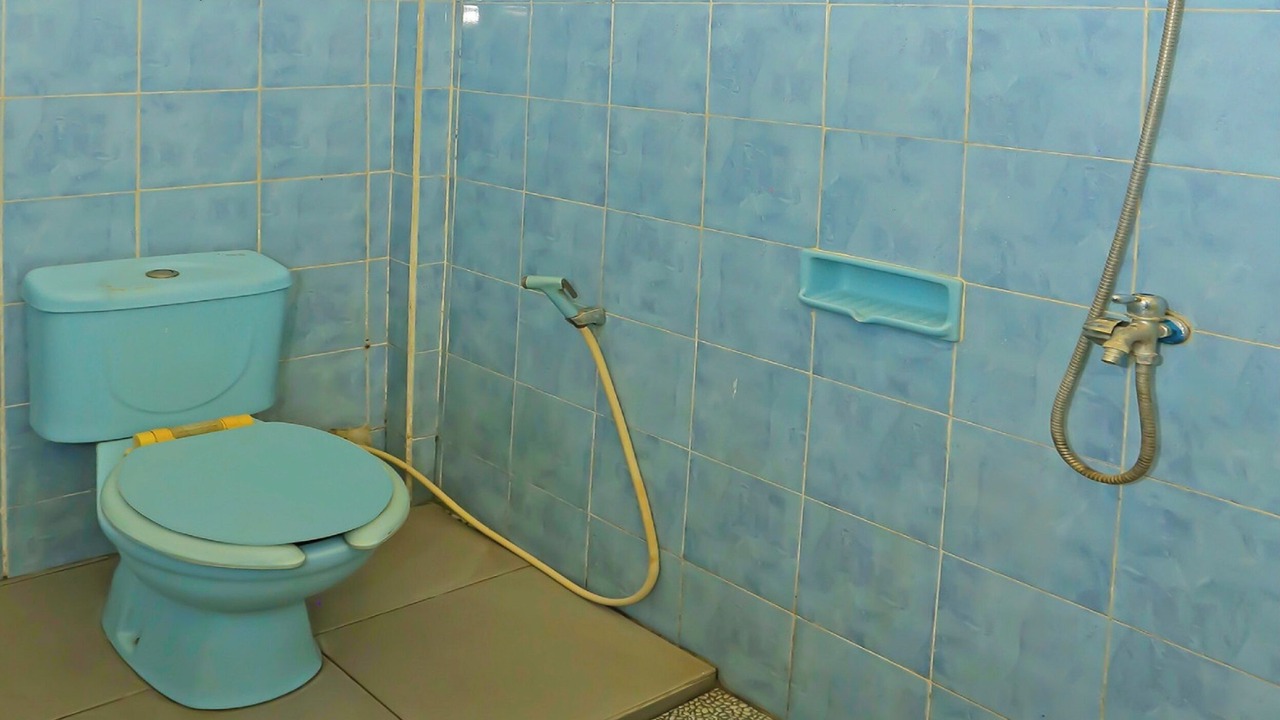 Photo of Bathroom in South Tambun