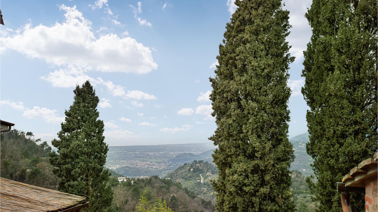 Photo of Outdoor in Pedona