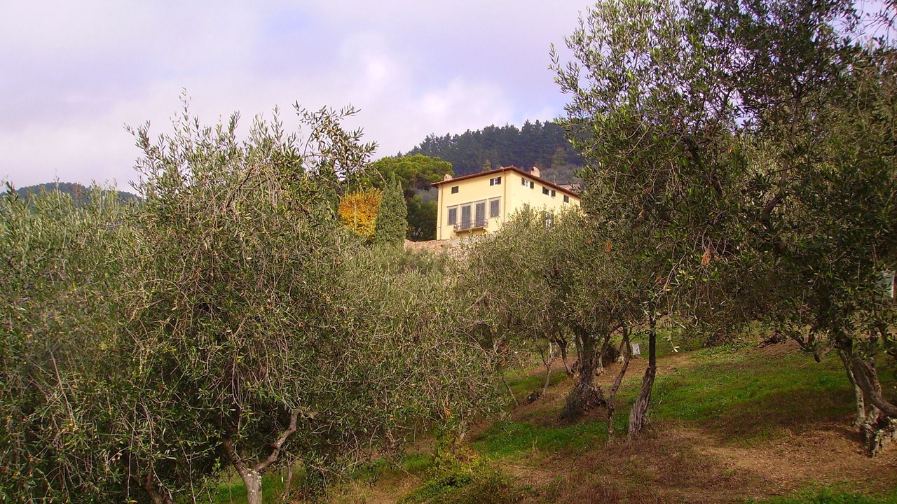 Photo of Outdoor in Petrognano