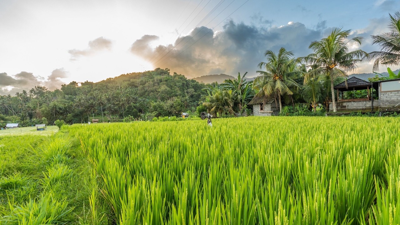 Photo of Outdoor in Manggis