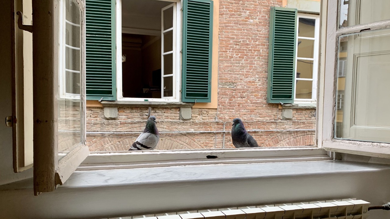 Photo of Bedroom in Lucca Historical Center