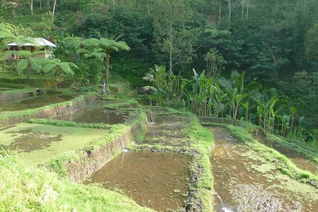 Photo of Outdoor in Kerta