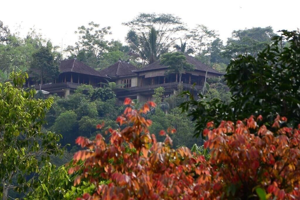 Photo of Outdoor in Kerta