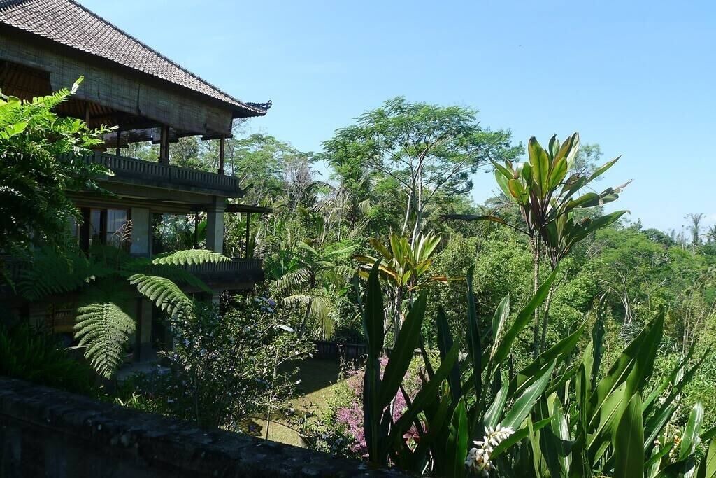 Photo of Outdoor in Kerta