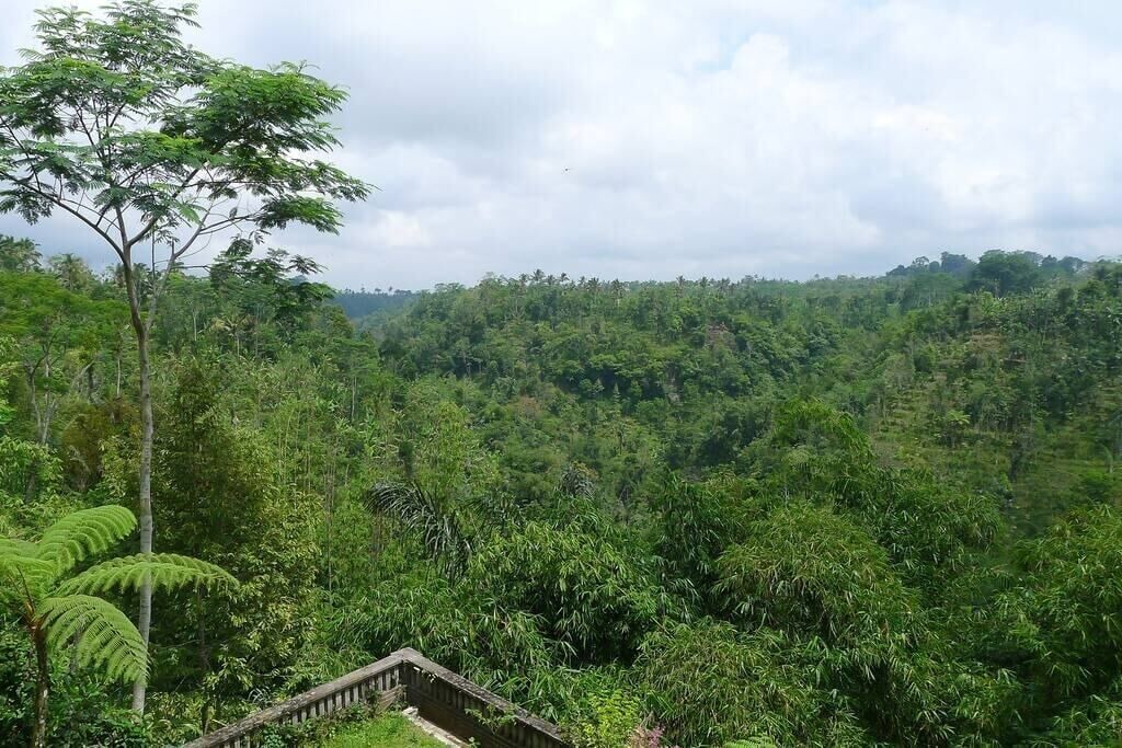 Photo of Others in Kerta