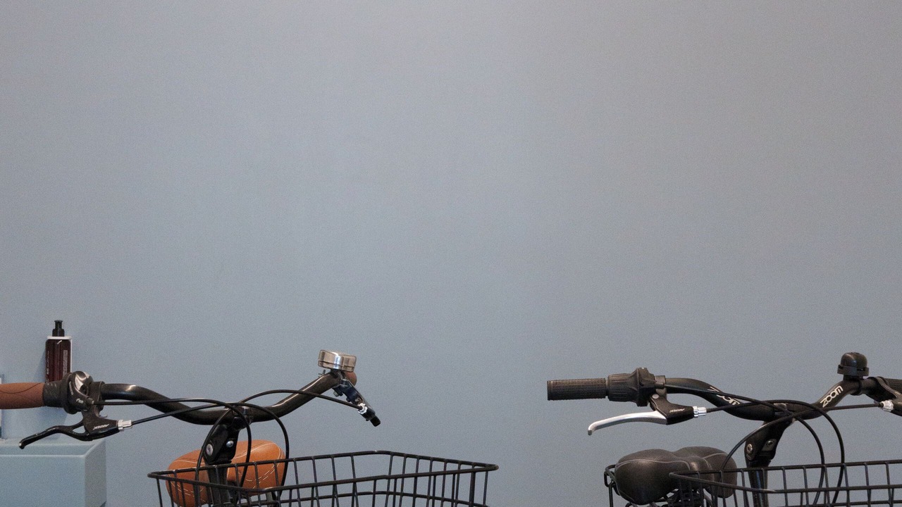 Photo of Outdoor in Viareggio