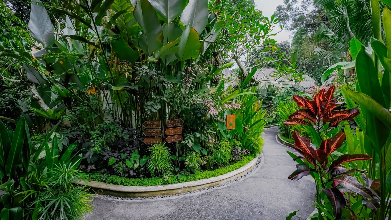 Photo of Outdoor in Melayang