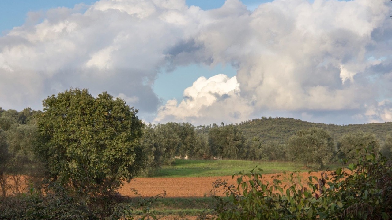 Photo of Others in Massa Marittima