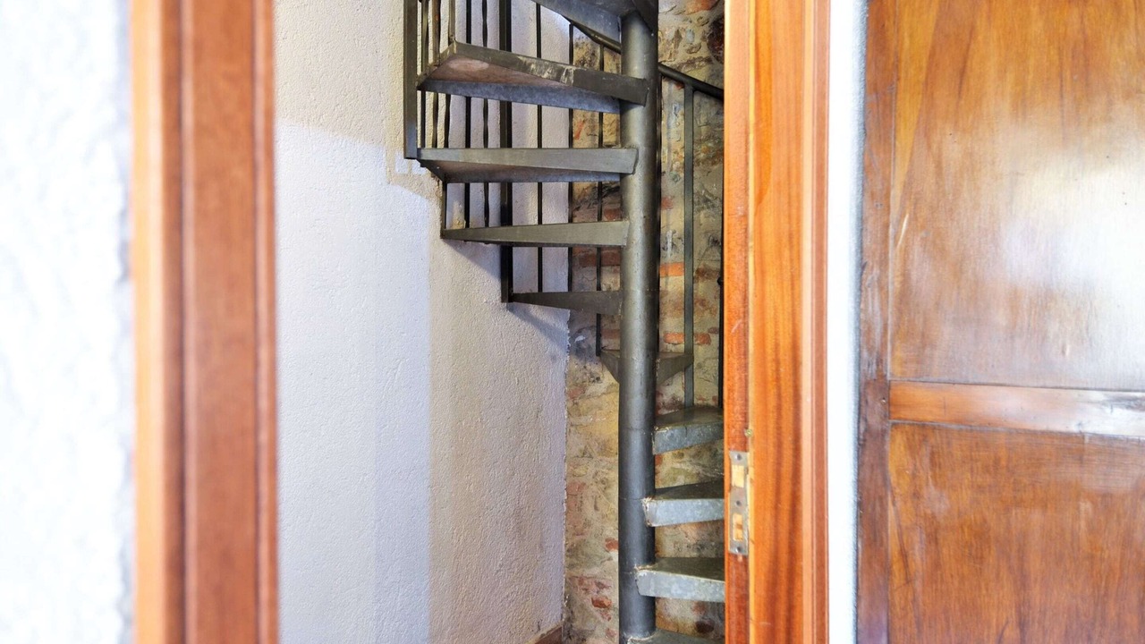 Photo of Others in Massa Marittima