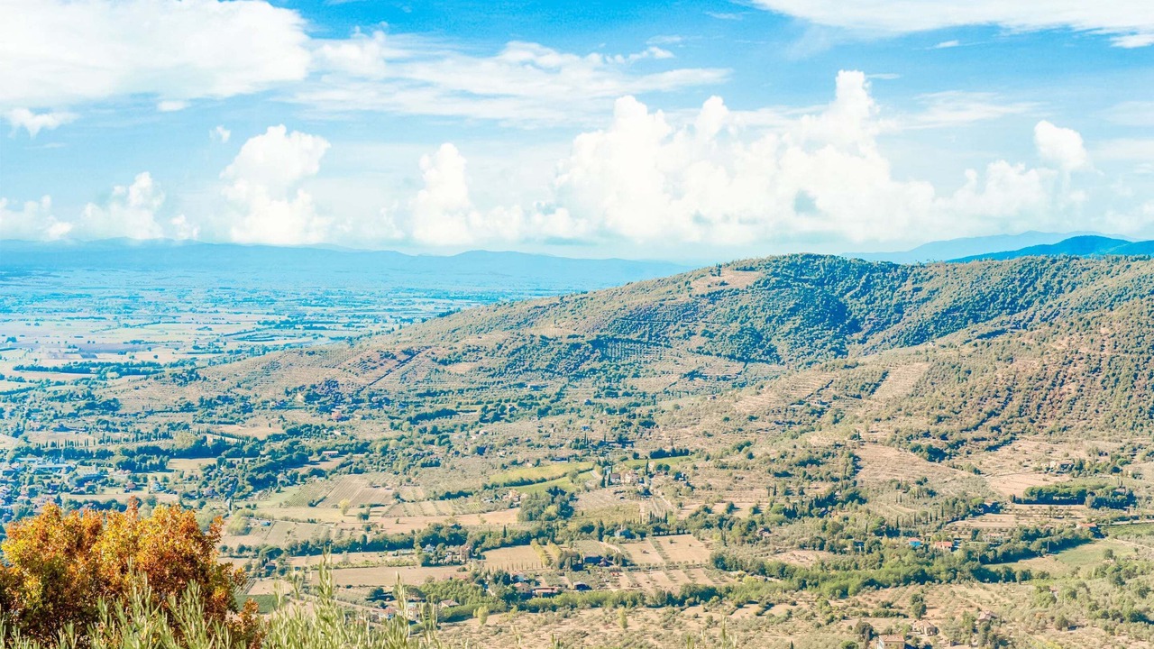 Photo of Others in Cortona