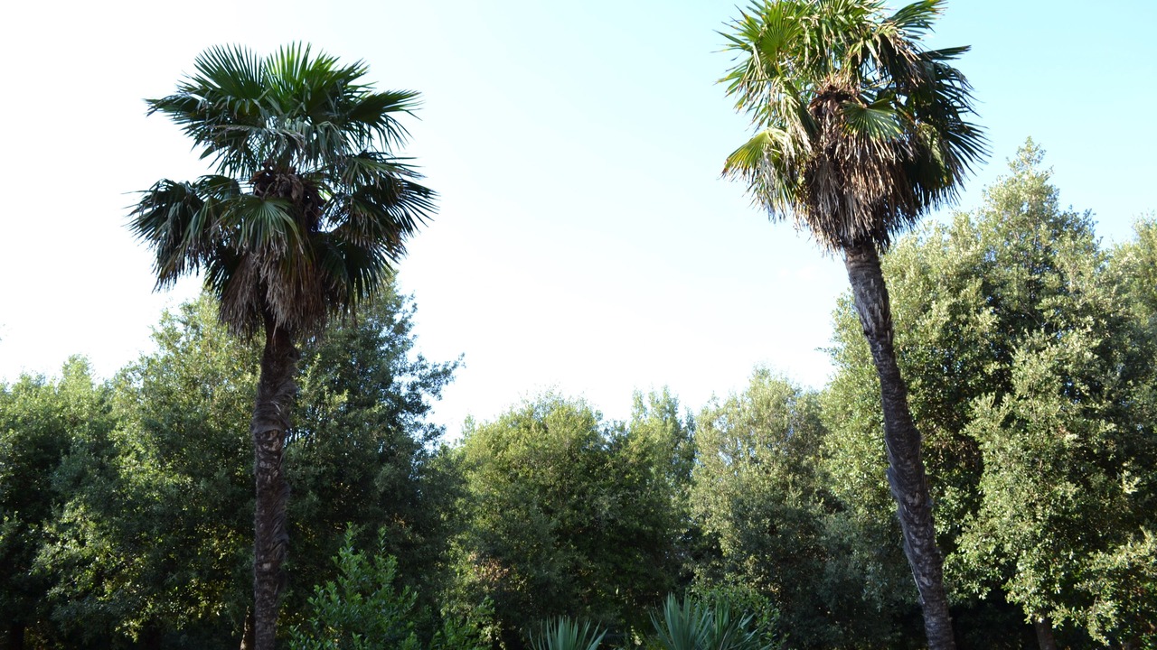 Photo of Outdoor in Vada
