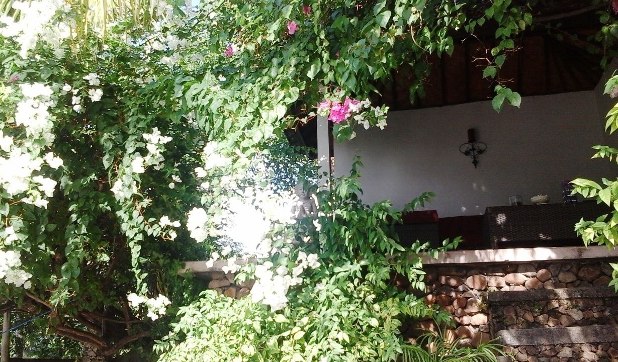 Photo of Outdoor in Bunutan