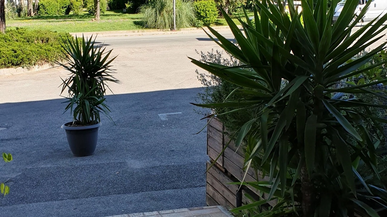 Photo of Outdoor in Peymeinade