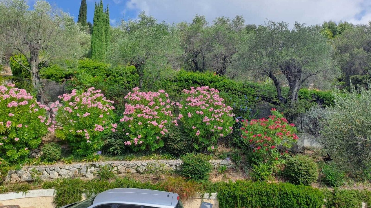 Photo of Outdoor in Gairaut