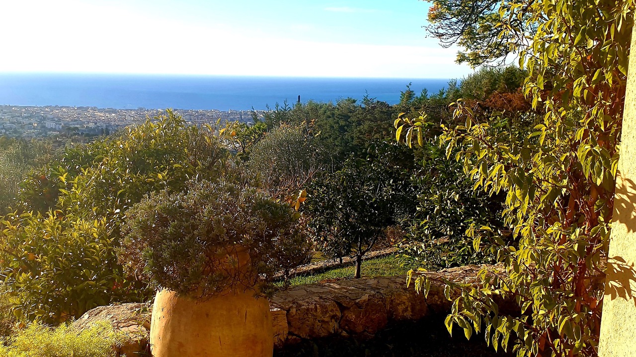 Photo of Outdoor in Gairaut