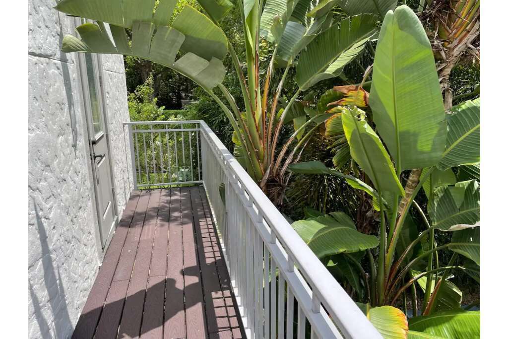 Photo of Outdoor in College Park
