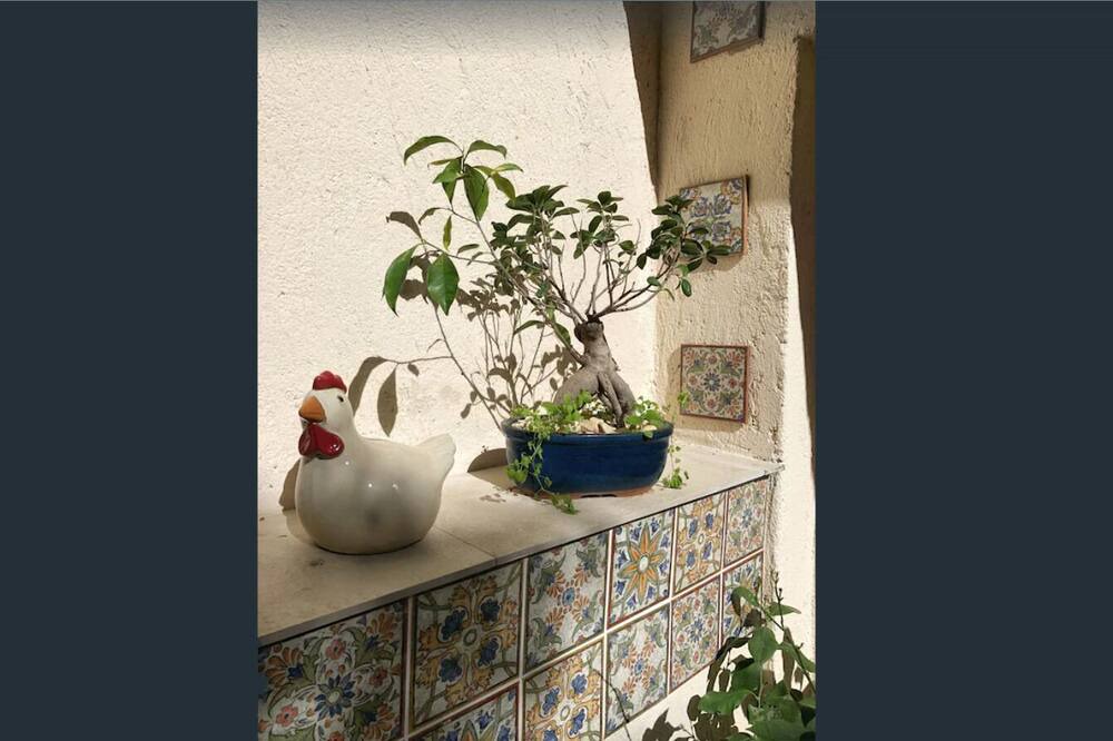 Photo of Others in Antibes Old Town